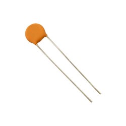 15pF 63V Mercimek Kondansatör 2.5mm
