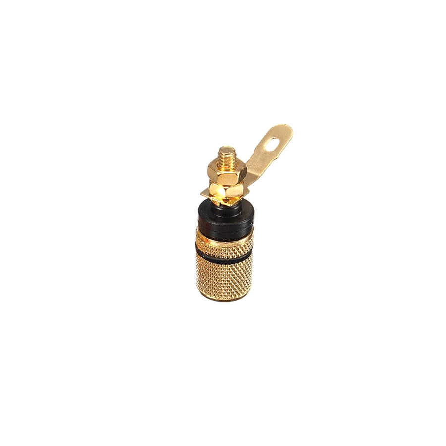  4mm Siyah Gold Born Jak