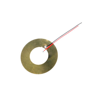 DirencNet - 50mm Kablolu Piezo Buzzer