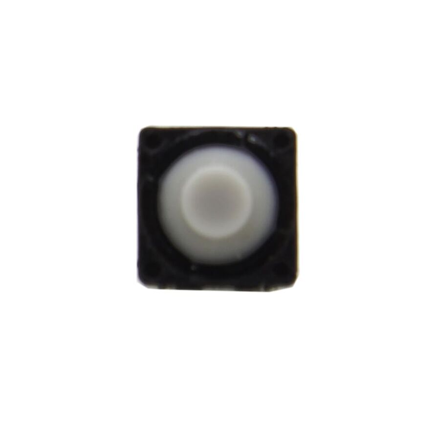 8x8 5.5mm 2 Pin Plastic Headed Buton