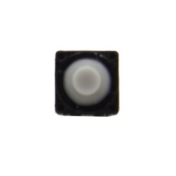 8x8 5.5mm 2 Pin Plastic Headed Buton - Thumbnail