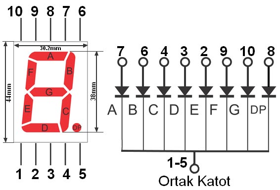 7-segment-display-ekran-pinout