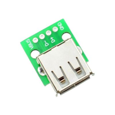 China - A Tipi Dişi USB Dip Çevirici