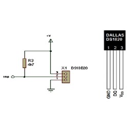 DS1820 Temperature Sensor Integrated PR-35 - Thumbnail
