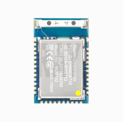 Raytac - NRF52832 Bluetooth Modül - MDBT42Q-P512KV2