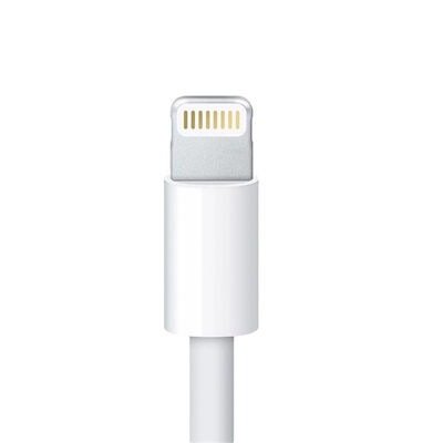 SWION - USB Lightning Erkek Konnektör - Kapaklı